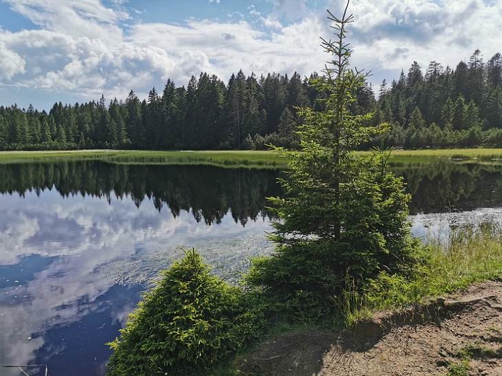 Jezero.jpg - Črno jezero na Pohorju v maju 2019