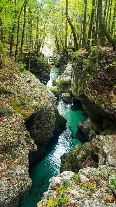 Potok.jpg - Korita rečice Mostnice leta 2018