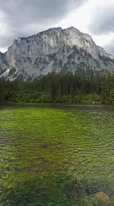 ZelenJez.jpg - Zeleno jezero - Gruner See  Avstrija  (2018)