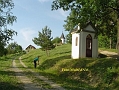 kosec