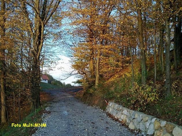 Posnetek015(2).jpg - Jesenska pot obsijana s zadnjimi sončnimi žarki, ki pelje proti začetku dneva